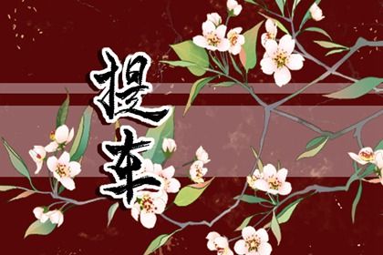 2030年农历腊月廿八提车好不好 是提车好日子吗