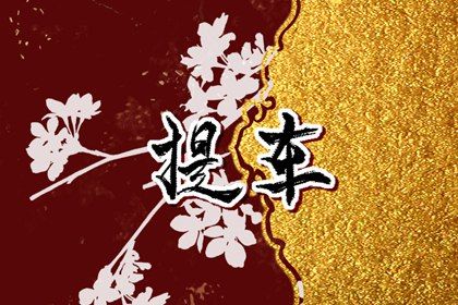 2025年02月23日提车黄道吉日 买新车吉利吗