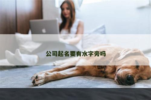 公司起名要有水字旁吗