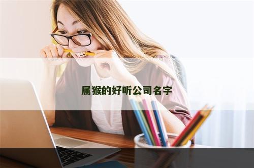 属猴的好听公司名字