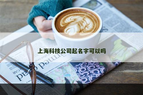 上海科技公司起名字可以吗