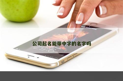 公司起名能带中字的名字吗