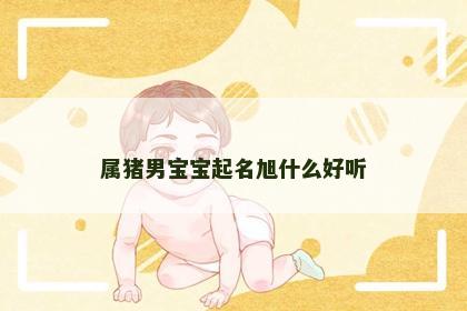 属猪男宝宝起名旭什么好听