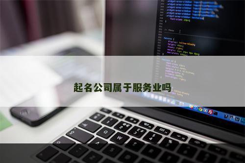 起名公司属于服务业吗