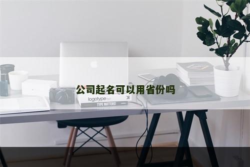 公司起名可以用省份吗