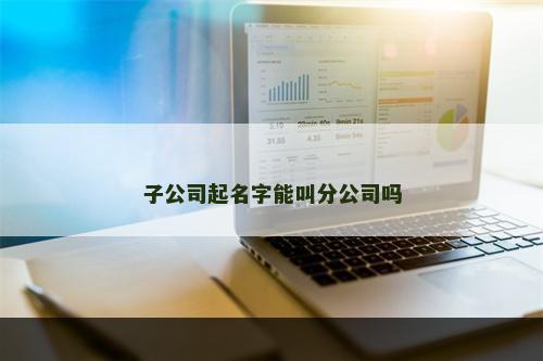 子公司起名字能叫分公司吗