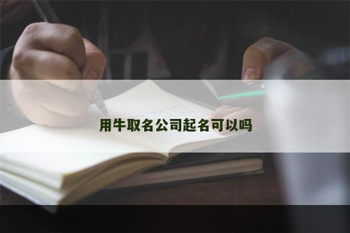用牛取名公司起名可以吗
