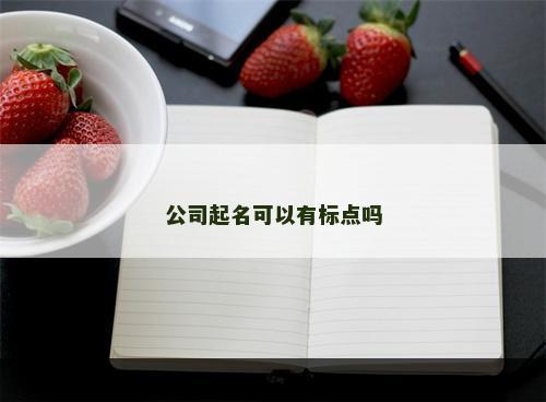 公司起名可以有标点吗