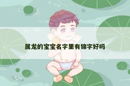 属龙的宝宝名字里有锦字好吗