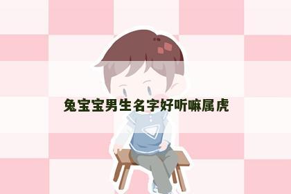 兔宝宝男生名字好听嘛属虎