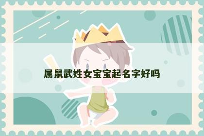 属鼠武姓女宝宝起名字好吗