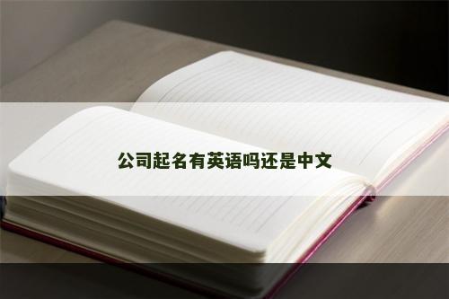 公司起名有英语吗还是中文