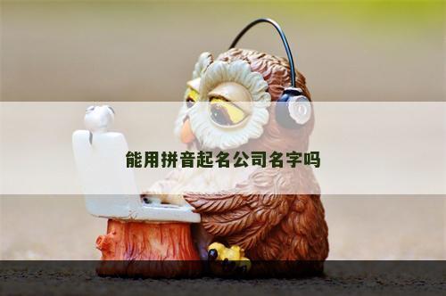 能用拼音起名公司名字吗