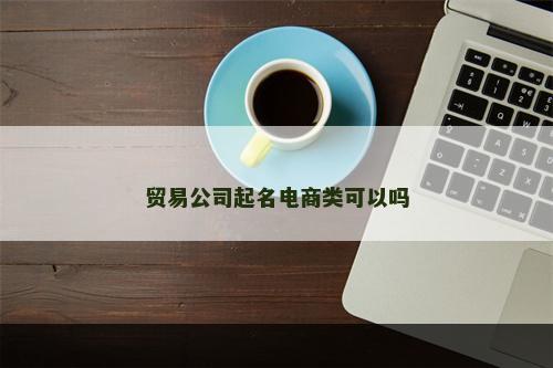 贸易公司起名电商类可以吗