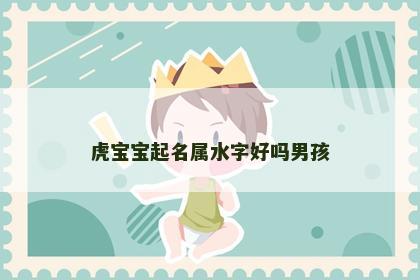 虎宝宝起名属水字好吗男孩