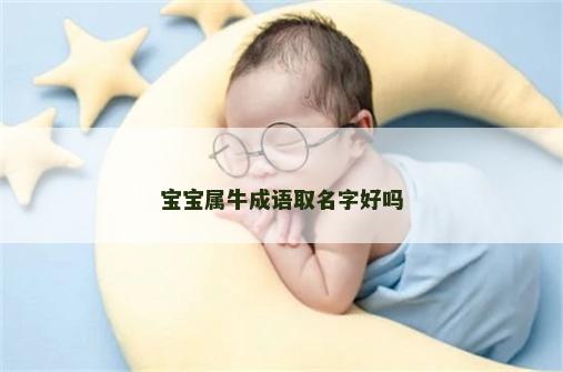 宝宝属牛成语取名字好吗