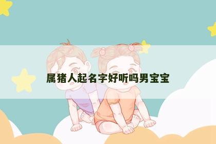 属猪人起名字好听吗男宝宝