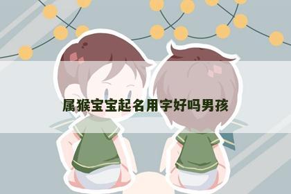 属猴宝宝起名用字好吗男孩