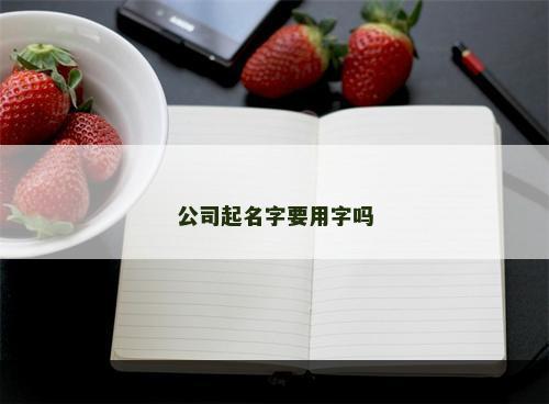公司起名字要用字吗