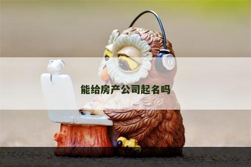 能给房产公司起名吗