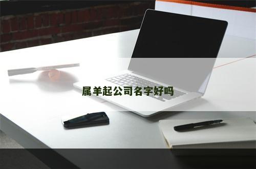 属羊起公司名字好吗