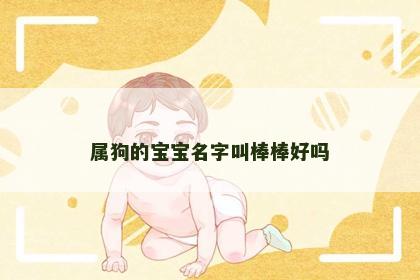 属狗的宝宝名字叫棒棒好吗